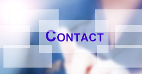 联系bevictor伟德